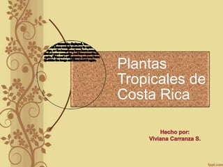 Plantas
Tropicales de
Costa Rica
 