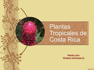 Plantas
Tropicales de
Costa Rica
 