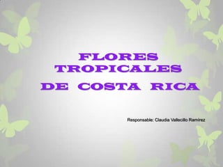 FLORES
 TROPICALES
DE COSTA RICA


       Responsable: Claudia Vallecillo Ramírez
 