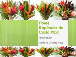 Flores 
Tropicales de 
Costa Rica 
Realizado por: 
Marianela Gutiérrez Araya 
 