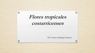 Flores tropicales
costarricenses
Por: Eunice Madrigal Zamora

 