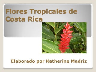 Flores Tropicales de
Costa Rica
Elaborado por Katherine Madriz
 