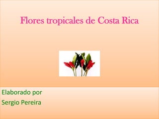 Flores tropicales de Costa Rica

Elaborado por
Sergio Pereira

 