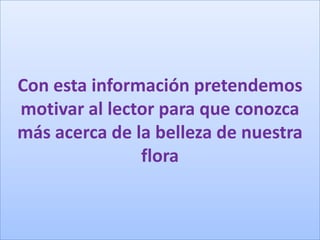 Con esta información pretendemos
motivar al lector para que conozca
más acerca de la belleza de nuestra
flora

 