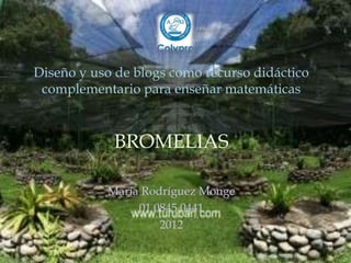 Diseño y uso de blogs como recurso didáctico
 complementario para enseñar matemáticas



            BROMELIAS

           María Rodríguez Monge
                01 0845 0441
                    2012
 