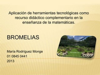 Aplicación de herramientas tecnológicas como
recurso didáctico complementario en la
enseñanza de la matemáticas.
BROMELIAS
María Rodríguez Monge
01 0845 0441
2013
 