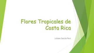 Flores Tropicales de
Costa Rica
Lohana Sancho Ruiz
 