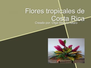 Flores tropicales de
Costa RicaCreado por: Olga Segura Alfaro
 