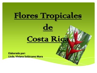 Flores Tropicales
de
Costa Rica
Elaborado por:
Licda. Viviana Solórzano Mora

 