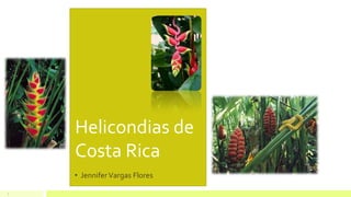 1
Helicondias de
Costa Rica
• JenniferVargas Flores
 