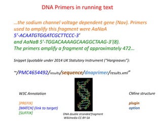 DNA Primers in running text
…the sodium channel voltage dependent gene (Nav). Primers
used to amplify this fragment were A...