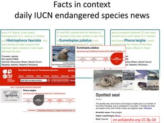 Facts in context
daily IUCN endangered species news
en.wikipedia.org CC By-SA
 