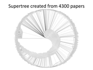 Supertree created from 4300 papers
 