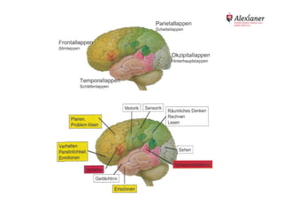 Bodo Beuchel / Dirk Bahnen
altersberatung@alexianer-krefeld.de
 