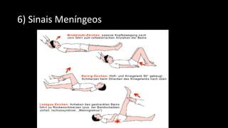 6) Sinais Meníngeos
 