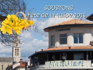Fête de la tulipe 2016Fête de la tulipe 2016
SOUSTONSSOUSTONS
 