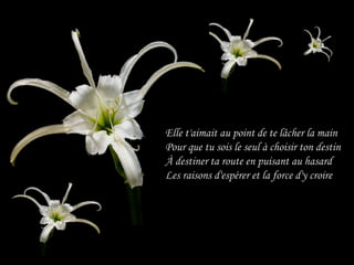 Elle t'aimait au point de te lâcher la main
Pour que tu sois le seul à choisir ton destin
À destiner ta route en puisant au hasard
Les raisons d'espérer et la force d'y croire
 
