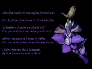 Elle allait cueillir ton rêve au plus fort de la nuit
Pour le planter dans la terre et l'inonder de pluie
De lumière et d'amour, au soleil de midi
Pour que tu rêves encore, chaque jour de ta vie
Elle ne t'épargnait ni le temps ni l'effort
Pour que tu sois debout devant les coups du sort
Solide et résistant face à l'adversité
Riche de ton courage et de ta liberté
 