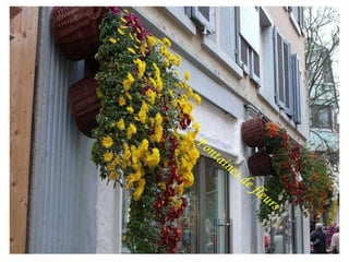 Fontaines de fleurs   