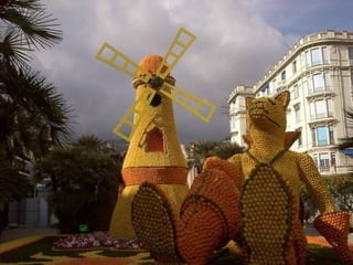 Fête du citron menton