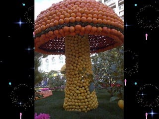 Fête du citron menton