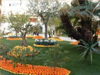 Fête du citron menton