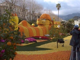 Fête du citron menton