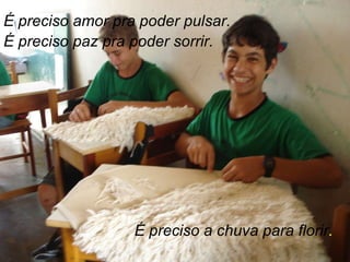 É preciso amor pra poder pulsar. É preciso paz pra poder sorrir. É preciso a chuva para florir . 