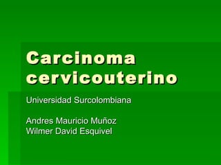Carcinoma cervicouterino  Universidad Surcolombiana   Andres Mauricio Muñoz Wilmer David Esquivel 