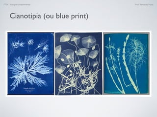 FTEX - Fotograﬁa experimental Prof.a Fernanda Pozza
Cianotipia (ou blue print)
 