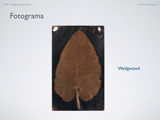 FTEX - Fotograﬁa experimental Prof.a Fernanda Pozza
Wedgwood
Fotograma
 