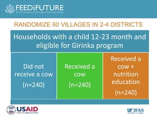 Enhancing milk quality and consumption for improved income and nutrition in Rwanda