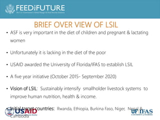 Feed the Future Innovation Lab for Livestock Systems