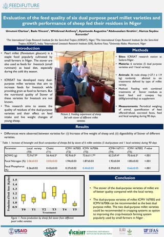 Evaluation of the feed quality of six dual purpose pearl millet varieties and
growth performance of sheep fed their residues in Niger
Introduction Methods
Results
Umutoni Clarisse1, Bado Vincent1, Whitbread Anthony2, Ayantunde Augustine 3 Abdoussalam Ibrahim1, Hamza Seydou
Korombe4
1The International Crops Research Institute for the Semi-Arid Tropics (ICRISAT), Niger; 2The International Crops Research Institute for the Semi-Arid
Tropics (ICRISAT), India; 3International Livestock Research Institute (ILRI), Burkina Faso; 4University Abdou Moumouni, Niger
• Pearl millet (Pennisetum glaucum) is a
staple food popularly cultivated by
small farmers in Niger. The stover are
also used as feeds for livestock (small
ruminant) as basal diet, especially
during the cold dry season.
• ICRISAT has developed many dual-
purpose millet varieties that aim to
increase feeds for livestock while
providing grain as food to farmers. But
the nutritional quality of Stover of
these varieties for livestock are not
known.
• This research aims to assess the
quality of residues of the dual-purpose
varieties and their effect on feed
intake and live weight changes of
young sheep.
• Sites: ICRISAT research station at
Sadore-Niger.
• Materia: 6 varieties (5 dual purpose
varieties and 1 local variety).
• Animals: 36 male sheep (~27.1 ± 1.9
kg) randomly allotted to six
treatments defined by type of millet
variety.
• Method: Feeding with combined
treatments of Stover residues as
basal feed and cowpea hay
(600g/animal/day) as supplement
• Measurements: Periodical weighing
of animal, quantification of feed
offered/refusal, excreted feces, feed
and fecal sampling during 90 days.
• Differences were observed between varieties for: (i) Increase of live weight of sheep and; (ii) digestibility of Stover of different
varieties.
.
Parameter Local variety
(T0)
Chakti
(T1)
ICMV 167005
(T2)
ICMV 167006
(T3)
ICMH 167111
(T4)
ICMV 167002
(T5)
P value
ADWG (g) 72.9±7.9b 56.4±6.5b 92.9±6.0a 73.6±11.7ab 62.2±9.4b 70.6±6.5b <.001
Fecal Nitrogen (%) 2.06±0.03 2.03±0.03 1.94±0.03 1.87±0.03 1.92±0.04 1.85±0.02 <.001
Fecal Phosphorus
(%)
0.36±0.02 0.43±0.03 0.37±0.02 0.44±0.03 0.39±0.03 0.66±0.05 <.001
Conclusion
• The stover of the dual-purpose varieties of millet are
of better quality compared with the local variety.
• The dual-purpose varieties of millet ICMV 167005 and
ICMV167006 can be recommended as the best dual
purpose millet. The two dual-purpose millet varieties
could be recommended in cropping systems as option
to improving the crop-livestock farming system
popularly used by small farmers in Niger ..
Table 1. Increase of liveweight and fecal composition of sheeps fed by stover of 6 millet varieties (5 dual-purpose and 1 local varieties) during 90 days
Picture 2. Feeding experiment of sheep
fed with stover of different millet
varieties
T5T4T3T2T1T0
1.5
1.4
1.3
1.2
1.1
1.0
0.9
Treatment
Productionoffreshfeces(Kg/day)
Figure 1. Feces production by sheep fed stover from different
pearl millet varieties
 