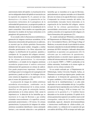 189
anteriormente dentro del epitelio. La localización de los
nervios adelgazados dentro del epitelio en asociación con
la expresión de catepsina B y G, parecen ser muy
destructivos a la córnea. La penetración en los
mecanismos moleculares de la patogénesis de la
enfermedad del queratocono y su progresión pueden ser
obtenidas desde los procesos de la remodelación de la
matriz extracelular. Otros estudios son requeridos para
determinar los modelos de las bases moleculares en la
patogénesis del queratocono (19).
En un estudio sobre la fluorescencia multifotónica y
generación de imágenes armónicas secundarias, de las
alteraciones estructurales del queratocono en cadáveres,
se encontró que las células epiteliales fluorescentes
alrededor del área apical estaban elongadas y estaban
alineadas paralelamente a las fibras adyacentes del
colágeno. La distribución de los patrones paralelos y
centrípetos de los paquetes del colágeno estromal,
fueron demostrados en diversas profundidades dentro
de las córneas queratocónicas. La microscopia
multifotónica y el estudio de las imágenes armónicas
secundarias proporcionan el análisis estructural
tridimensional del queratocono en córneas de cadáver.
Esto puede proporcionar importante información
morfológica para la investigación de la patogénesis del
queratocono y puede ser útil en los hallazgos clínicos,
como sistema de diagnóstico y de supervisión in vivo
para el avance del queratocono (20).
La proyección de imagen de señales armónicas
secundarias microscópicas, combinadas con la
reconstrucción tridimensional de la córnea normal,
identificó un alto grado de entretejido laminar,
particularmente en la córnea anterior. Cabe anotar la
importancia en la detección de las laminillas que se
insertaron en la capa de Bowman y que estaban
orientadas transversalmente a la superficie corneal,
penetrando posteriormente a 120 micras. En córneas
queratocónicas, la proyección de imágenes de señales
armónicas secundarias identificaron menos entretejido
laminar y una marcada reducción o una pérdida de
laminillas que se insertaban en la capa de Bowman,
particularmente en regiones asociadas con el desarrollo
del cono sin roturas en la capa de Bowman o cicatrices.
Comparando las córneas normales del adulto, las
anormalidades marcadas fueron detectadas en la
organización de las laminillas del colágeno anterior
corneal de las córneas queratocónicas. Estas
anormalidades estructurales son constantes con los
cambios conocidos en la organización del colágeno y la
fuerza biomecánica del queratocono (21).
En estudio realizado por Whitelock y colaboradores
del Departamento de Oftalmología y Ciencias Visuales
de la Universidad de Illinois y del Chicago College of
Medicine, se encontró elevada la actividad de la enzima
lisosomalyreducidoslosnivelesdelinhibidordelaalpha1,
proteinasa del RNA mensajero, indicando alteraciones
metabólicas en pacientes con queratocono (22). Es
relevante que en condiciones de queratocono,
significativamente se encontró mayor apoptosis en las
células del estroma anterior de córneas con queratocono,
y en la mayoría TIMP-1 y TIMP-3, producidas en las
células estromales, localizadas en la misma región en
relación con las córneas normales (23).
En un estudio realizado por el Departamento de
Oftalmología, Aarhus University Hospital, Aarhus, en
Dinamarca se encontró que algunos genes pueden estar
implicados en la formación del queratocono. Dos de
los genes candidatos, el lisil oxidasa y el inhibidor del
tejido fino de la metalloproteinasa 3, se sabe están
implicados en otras enfermedades del ojo. Los perfiles
de expresión fueron reproducidos con el software dChip
(laboratorio de Wong) y PCR en tiempo real. Los
aumentos en la queratina 6 y 13 también fueron
detectados en los niveles de proteína. El epitelio de la
córnea queratocónica apareció con cambios masivos del
citoesqueleto, reducción de la matriz extracelular
remodelada, signos de alteración de la transmembrana
e interacciones modificadas de célula-a-célula y de
célula-a-matriz. La validación de la expresión del gen
con análisis del dChip y PCR en tiempo real indica que
QUERATOCONO: UNA REVISIÓN Y POSIBLE SITUACIÓN EPIDEMIOLÓGICA EN COLOMBIA.
 