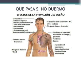 QUE PASA SI NO DUERMO

 
