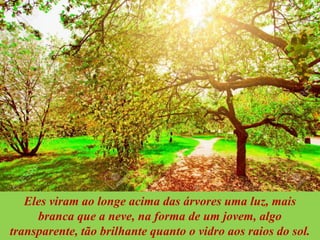 Eles viram ao longe acima das árvores uma luz, mais
branca que a neve, na forma de um jovem, algo
transparente, tão brilhante quanto o vidro aos raios do sol.
 