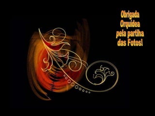 Obrigada  Orquídea  pela partiha  das Fotos! 