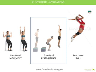 The Functional Training foundations | PPTX