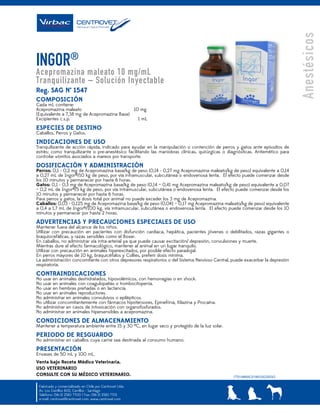 FT Ingor® Iny.pdf