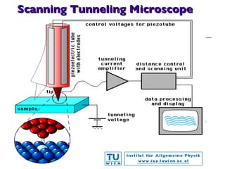 Scanning Tunneling Microscope 