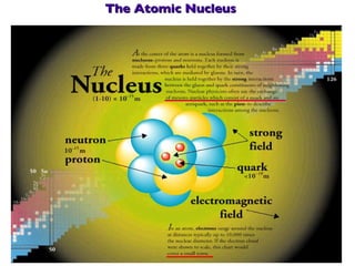 The Atomic Nucleus 
