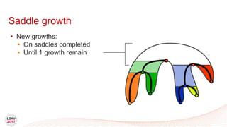 Saddle growth
• New growths:
• On saddles completed
• Until 1 growth remain
 