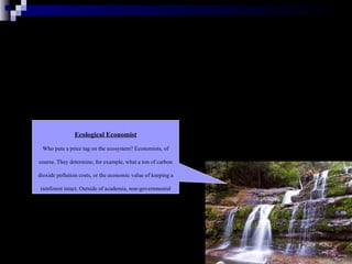Ecological Economist Who puts a price tag on the ecosystem? Economists, of course. They determine, for example, what a ton of carbon dioxide pollution costs, or the economic value of keeping a rainforest intact. Outside of academia, non-governmental organizations and the federal government are major employers of ecological economists 