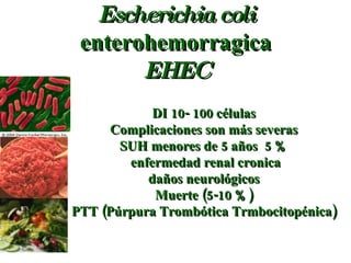 Escherichia coli  enterohemorragica EHEC DI 10- 100 células Complicaciones son más severas SUH menores de 5 años  5 % enfermedad renal cronica daños neurológicos Muerte (5-10 %) PTT (Púrpura Trombótica Trmbocitopénica) 