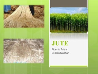 JUTE
Fiber to Fabric
Dr. Ritu Madhan
 