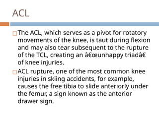 Lower Limbs the Clinically Oriented Anatomy | PPTX