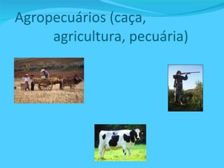   Agropecuários (caça,    agricultura, pecuária) 