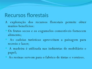 Recursos florestais A exploração dos recursos florestais permite obter muitos benefícios:  Os frutos secos e os cogumelos comestíveis fornecem alimento;  As cadeias turísticas aproveitam a paisagem para recreio e lazer;  A madeira é utilizada nas indústrias de mobiliário e papel;  As resinas servem para o fabrico de tintas e vernizes.  