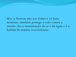 Mas a floresta não nos fornece só bens matérias, também protege o solo contra a erosão, faz a manutenção do ar e da água e é o habitat de muitos ecossistemas.  